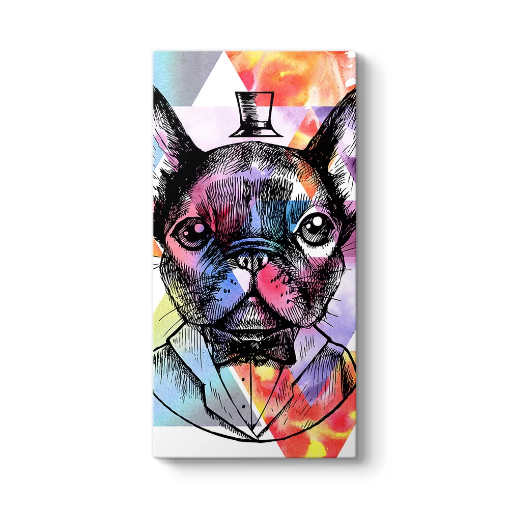 King French Bulldog - Model 7
